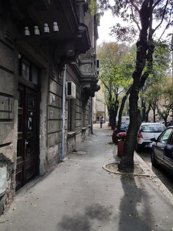 Classic Style Apartment Beograd Eksteriør billede
